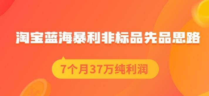 盗坤淘宝蓝海暴利非标品先品思路，7个月37万纯利润，压箱干货分享！【付费文章】-知创网