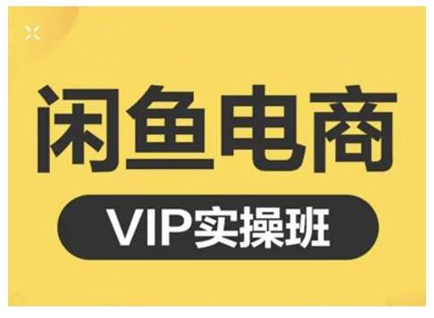 闲鱼电商零基础入门到进阶VIP实战课程，帮助你掌握闲鱼电商所需的各项技能-知创网