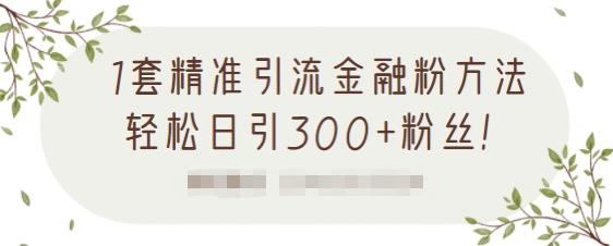 1套精准引流金融粉方法，轻松日引300 粉丝【视频课程】-知创网