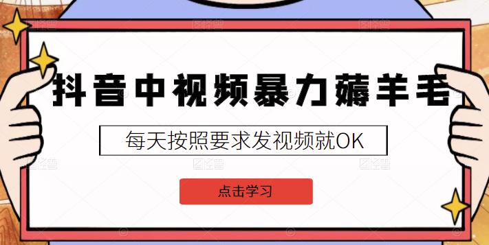 2022抖音中视频暴力薅羊毛白嫖项目：新号每天20块，老号几天几百块，可多号-知创网