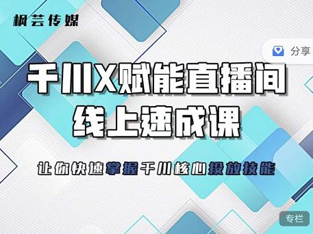 枫芸传媒-线上千川提升课，提升千川认知，提升千川投放效果-知创网