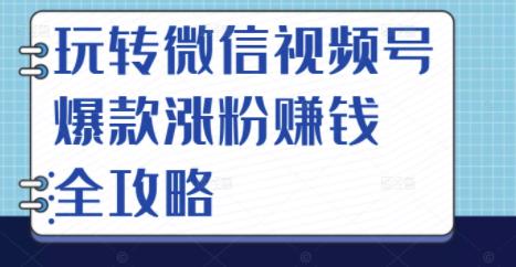 玩转微信视频号爆款涨粉赚钱全攻略，让你快速抓住流量风口，收获红利财富-知创网