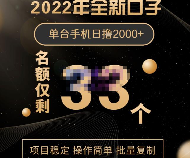 2022年全新口子，手机批量搬砖玩法，一部手机日撸2000+-知创网