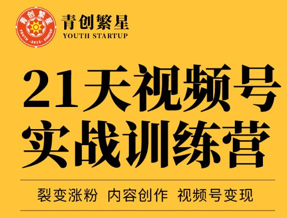 张萌21天视频号实战训练营，裂变涨粉、内容创作、视频号变现 价值298元-知创网