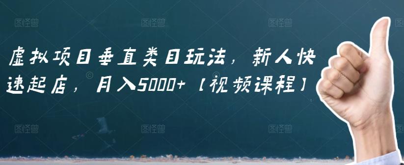 虚拟项目垂直类目玩法，新人快速起店，月入5000+【视频课程】-知创网