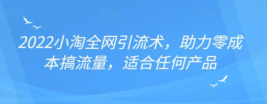 2022年小淘全网引流术，助力零成本搞流量，适合任何产品-知创网