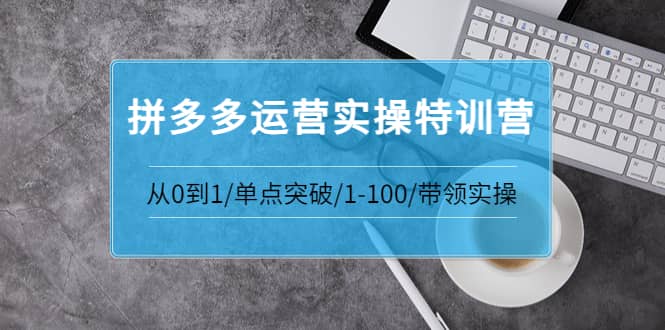 拼多多运营实操特训营：从0到1/单点突破/1-100/带领实操 价值2980元-知创网