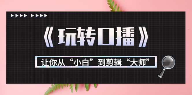 月营业额700万+大佬教您《玩转口播》让你从“小白”到剪辑“大师”-知创网