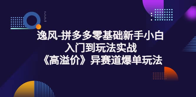 拼多多零基础新手小白入门到玩法实战《高溢价》异赛道爆单玩法实操课-知创网