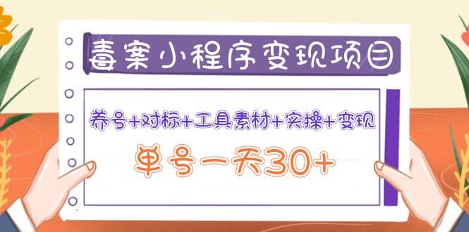 毒案小程序变现项目：养号 对标 工具素材 实操 变现-知创网