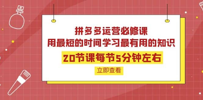 拼多多运营必修课：20节课每节5分钟左右，用最短的时间学习最有用的知识-知创网