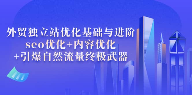 外贸独立站优化基础与进阶，seo优化 内容优化 引爆自然流量终极武器-知创网