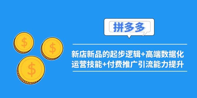 2022拼多多：新店新品的起步逻辑+高端数据化运营技能+付费推广引流能力提升-知创网