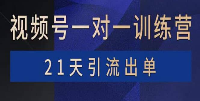 视频号训练营：带货，涨粉，直播，游戏，四大变现新方向，21天引流出单-知创网