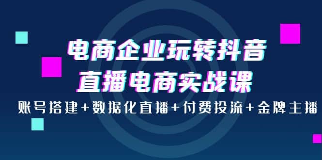 电商企业玩转抖音直播电商实战课：账号搭建+数据化直播+付费投流+金牌主播-知创网