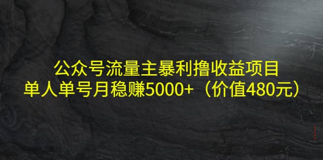 公众号流量主暴利撸收益项目，单人单号月稳赚5000 （价值480元）-知创网