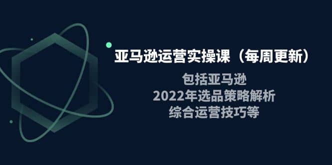 亚马逊运营实操课（每周更新）包括亚马逊2022选品策略解析，综合运营技巧等-知创网