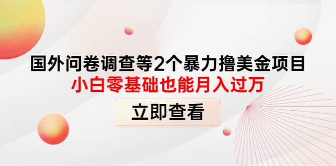 国外问卷调查等2个暴力撸美元项目，小白零基础也能月入过万-知创网