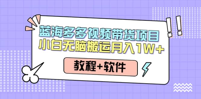 人人都能操作的蓝海多多视频带货项目 小白无脑搬运（教程 软件）-知创网