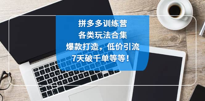 拼多多训练营：各玩法合集，爆款打造，低价引流，7天破千单等等-知创网