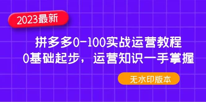 2023拼多多0-100实战运营教程，0基础起步，运营知识一手掌握（无水印）-知创网