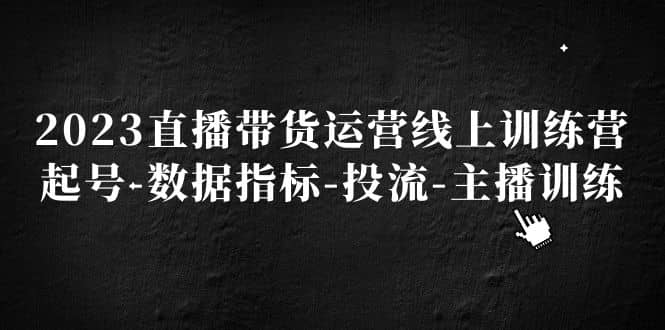 2023直播带货运营线上训练营，起号-数据指标-投流-主播训练-知创网