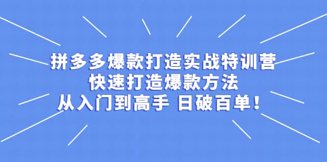 拼多多爆款打造实战特训营：快速打造爆款方法，从入门到高手 日破百单-知创网