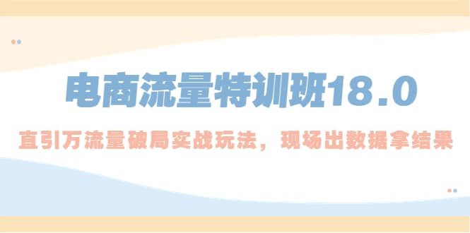 电商流量特训班18.0，直引万流量破局实操玩法，现场出数据拿结果-知创网