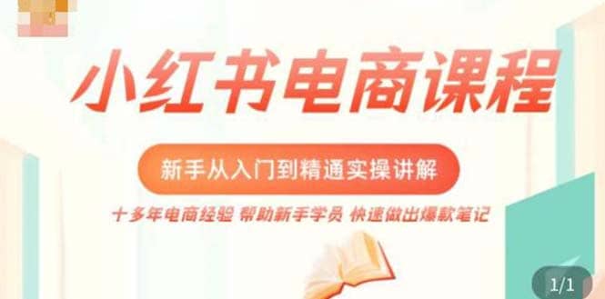 小红书电商新手入门到精通实操课，从入门到精通做爆款笔记，开店运营-知创网