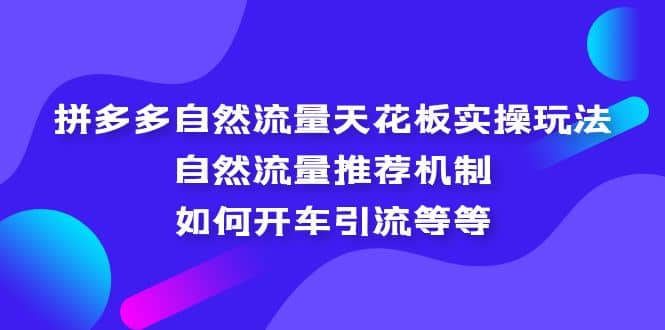 拼多多自然流量天花板实操玩法：自然流量推荐机制，如何开车引流等等-知创网