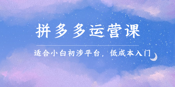 拼多多运营课，适合小白初涉平台，低成本入门-知创网