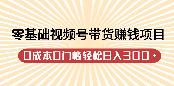 零基础视频号带货赚钱项目，0成本0门槛轻松日入300+【视频教程】-知创网