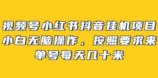 视频号小红书抖音挂机项目，小白无脑操作，按照要求来，单号每天几十米-知创网