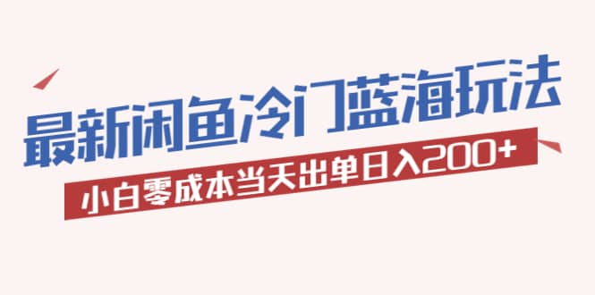 2023最新闲鱼冷门蓝海玩法，小白零成本当天出单日入200+-知创网