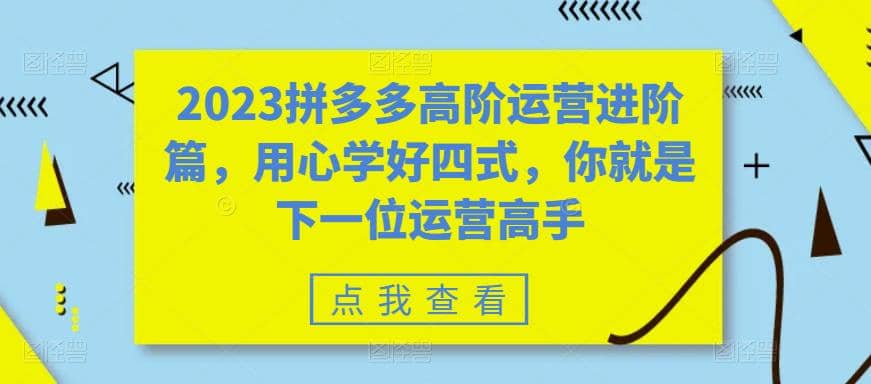 2023拼多多高阶运营进阶篇，用心学好四式，你就是下一位运营高手-知创网