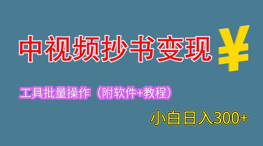 2023中视频抄书变现（附工具 教程），一天300 ，特别适合新手操作的副业-知创网