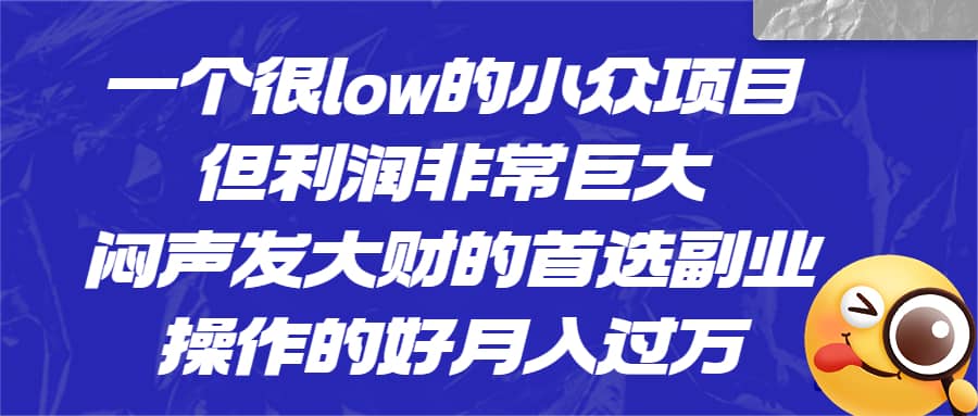 一个很low的小众项目，但利润非常巨大，闷声发大财的首选副业，月入过万-知创网