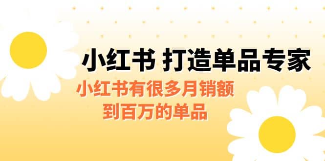 某公众号付费文章《小红书 打造单品专家》小红书有很多月销额到百万的单品-知创网