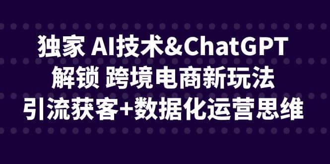 独家 AI技术ChatGPT解锁 跨境电商新玩法，引流获客 数据化运营思维-知创网