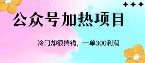 冷门公众号加热项目，一单利润300+-知创网