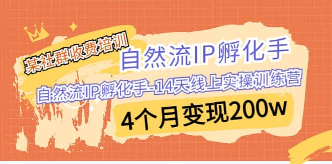 某社群收费培训：自然流IP 孵化手-14天线上实操训练营 4个月变现200w-知创网