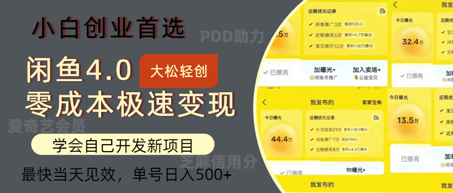 闲鱼0成本极速变现项目，多种变现方式，单号日入500+最新玩法-知创网