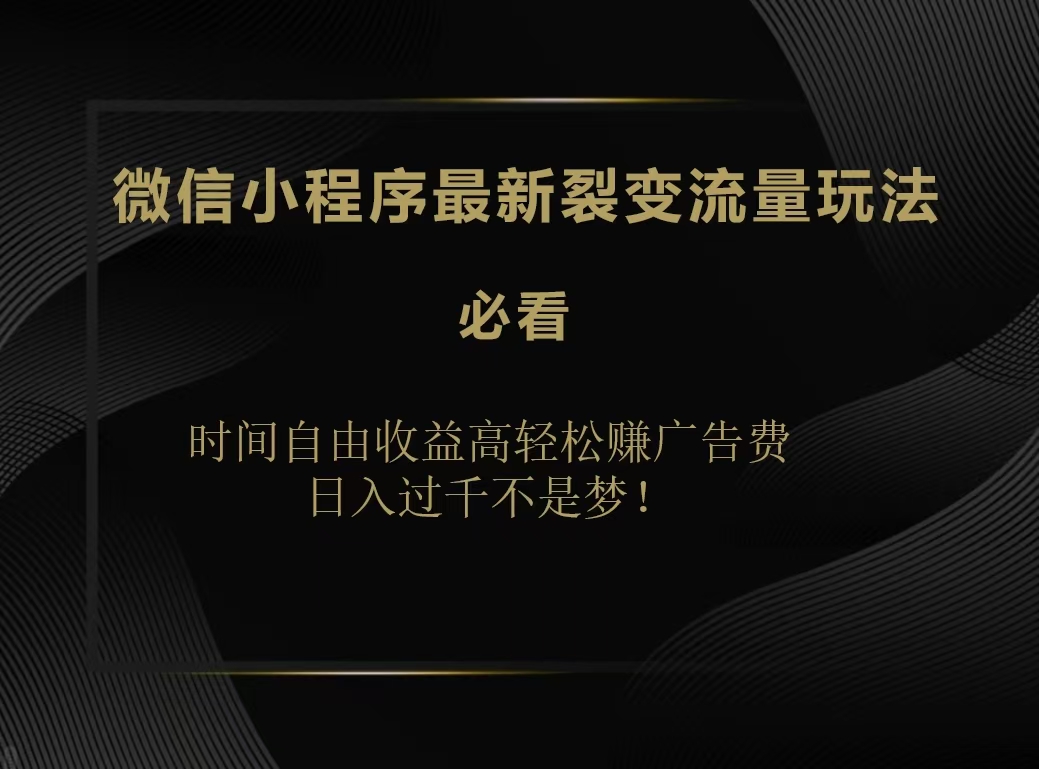 微信小程序最新裂变流量玩法，时间自由收益高轻松赚广告费，日入200-500+-知创网