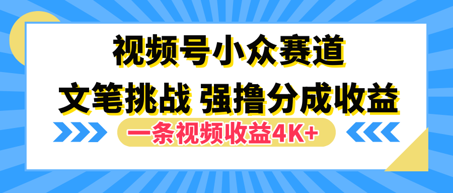 视频号小众赛道，文笔挑战，一条视频收益4K+-知创网