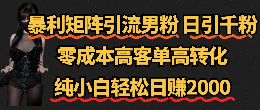 暴利矩阵引流男粉（日引千粉），零成本高客单高转化，纯小白轻松日赚2000+-知创网