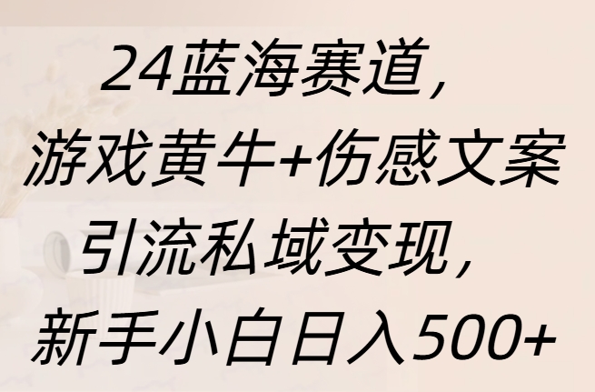 24蓝海赛道，游戏黄牛+伤感文案引流私域变现，新手日入500+-知创网