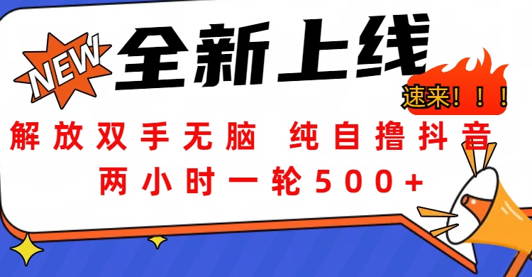 解放双手无脑 纯自撸抖音 两小时一轮500+-知创网