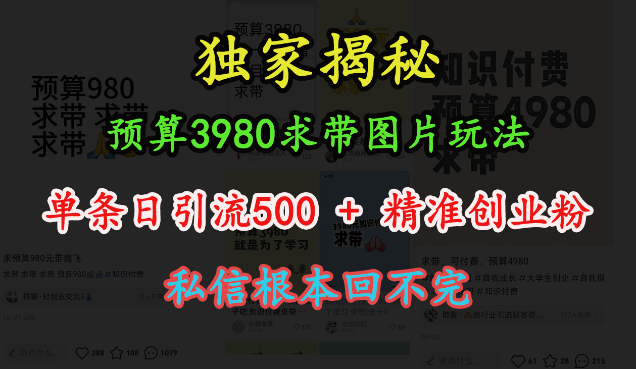 “小红书”预算3980求带 图片玩法，单条日引流500+精准创业粉，私信根本回不完-知创网