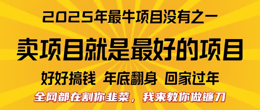 全网都在割你韭菜，我来教你做镰刀。卖项目就是最好的项目，2025年最牛互联网项目-知创网