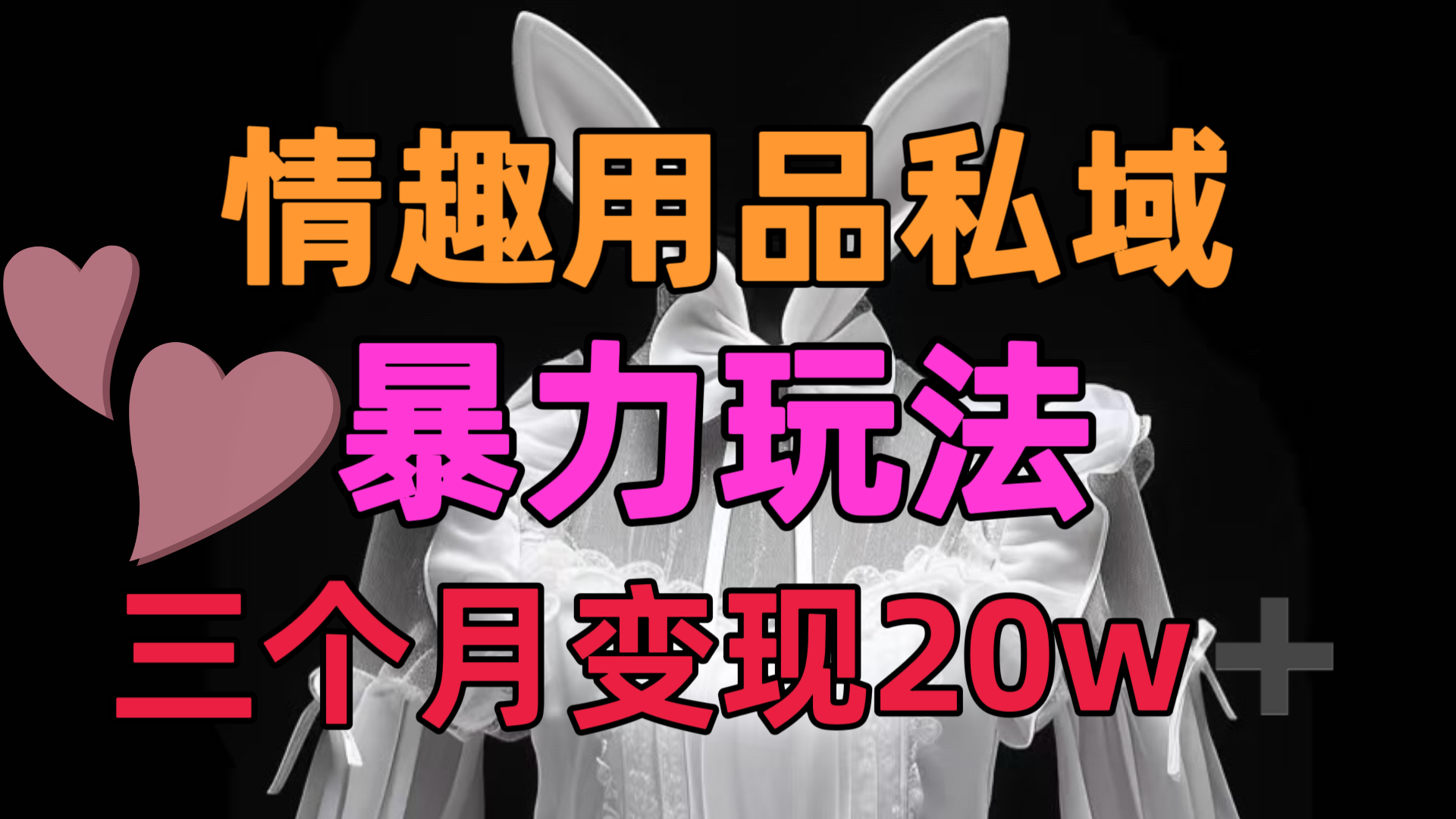 情趣用品私域，25年最新暴力玩法，三个月变现20w➕-知创网